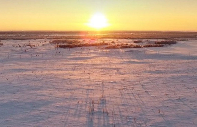Cистема «воздух — земля» от Росреестра. Зачем над участками запускают БПЛА и при чем здесь изъятие земли | Источник: «Яндекс.Карты»