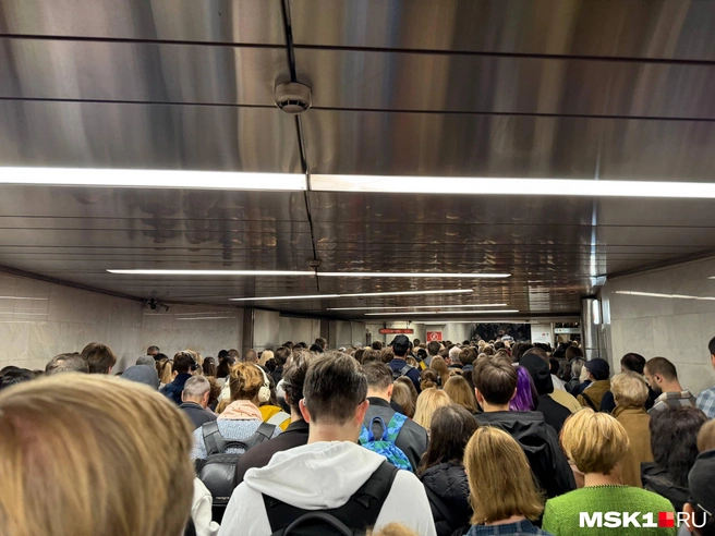 Пассажиры пожаловались на толпу в переходе с БКЛ на Красную ветку метро | Источник: читатель MSK1.RU