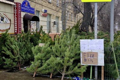 Морозная неделя в Саратове: до -25 градусов