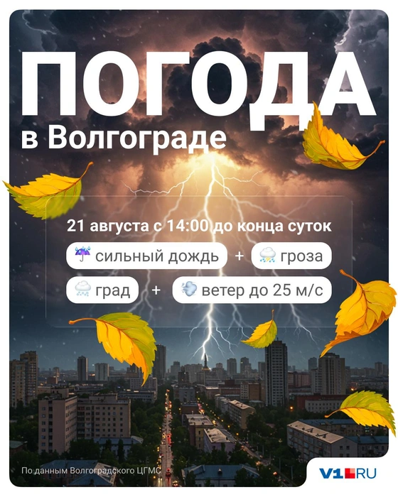 Источник: Полина Авдошина / V1.RU