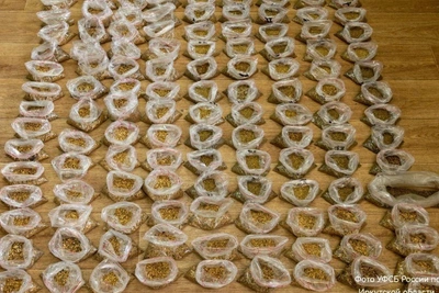 Суд вынес приговор вахтовикам за кражу золота на 668 млн