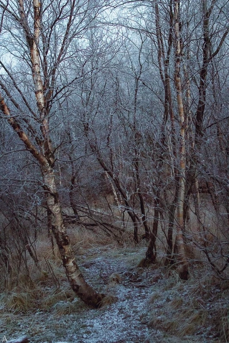 Район Питьевого озера | Источник: Андрей Хворов