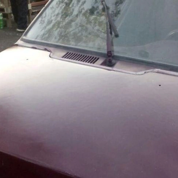 Источник: Екатерина