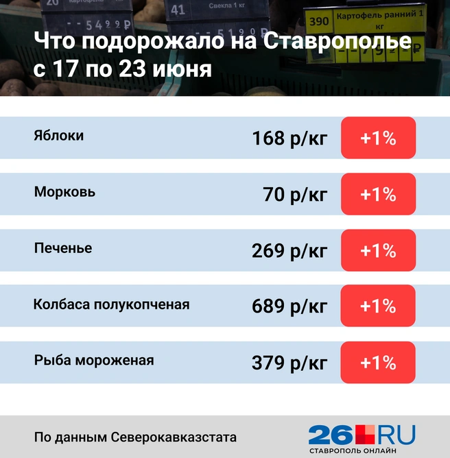 Статистика цен на продукты | Источник: Анна Санькова / 26.RU