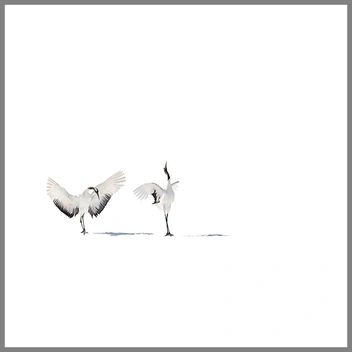 Сдержанный минимализм | Источник: Евгений Доманов