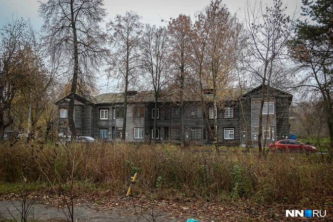 Местных не балуют стрижкой травы | Источник: Наталья Бурухина / NN.RU