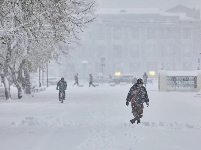Ночью прогнозируют понижение температуры до -3 градусов | Источник: Александр Ощепков, NGS.RU