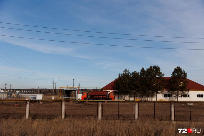 Другая часть птицефабрики | Источник: Ирина Шарова / 72.RU