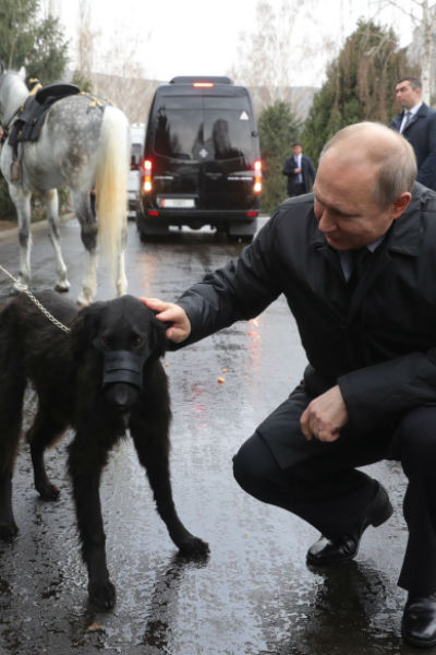 Питомца назвали Шерханом