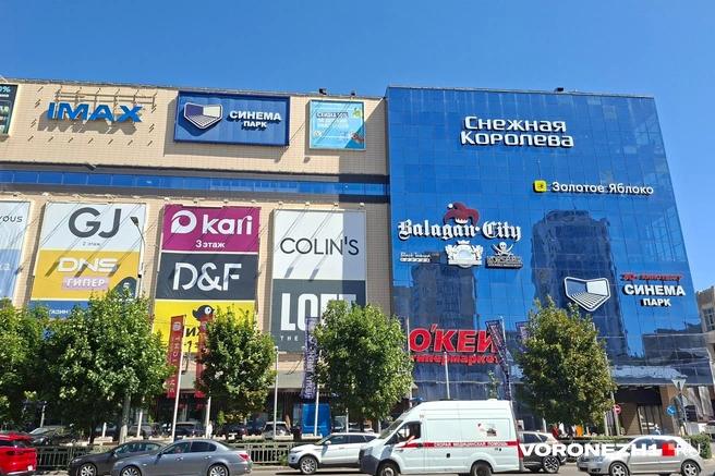 Источник: Алёна Воропаева, Серафима Пантыкина / Voronezh1.ru