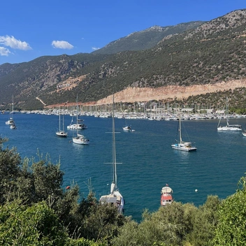 Источник: Елизавета Пенкина