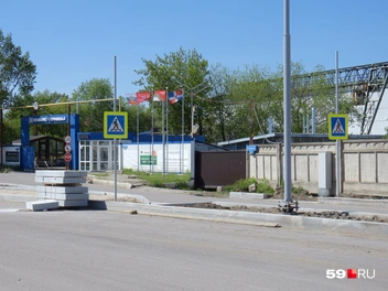 Пешеходные переходы тоже будут регулироваться новым светофором | Источник: Кирилл Хафизов / 59.RU