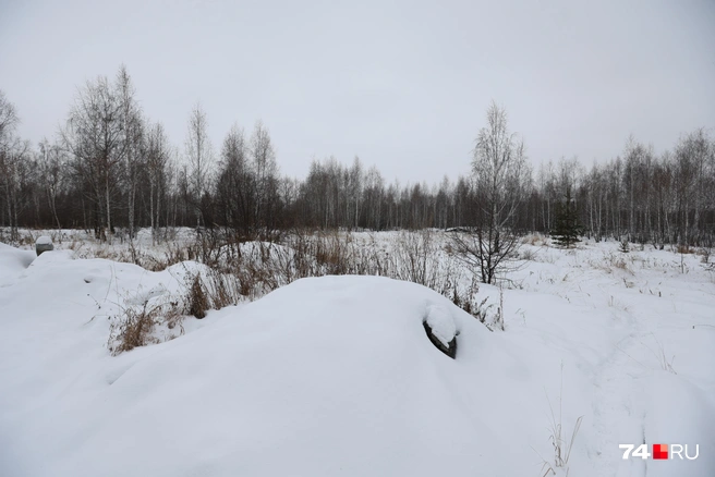 Земли довольно много, а вокруг — лес. По описанию подходит для постройки лагеря. Как и для современного ЖК, на самом деле | Источник: Наталья Лапцевич