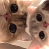 userpic__egorova23456