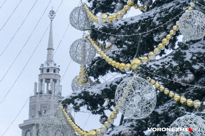 Источник: Дмитрий Волгин / Voronezh1.ru
