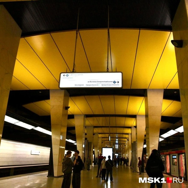 Источник: Дарья Шутова / MSK1.RU