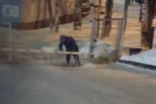 Мужчина сломал шлагбаум у школы на Хасанской, чтобы сократить путь. Сократил, но не туда | Источник: ГУ Росгвардии по Петербургу и Ленинградской области