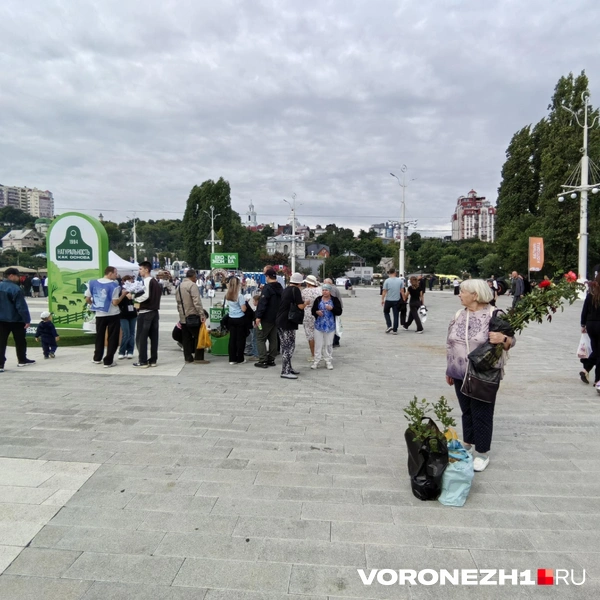 В целом — пока пустовато | Источник: Андрей Пашинский/Voronezh1.ru