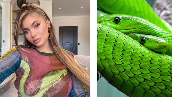 Зеленая мамба: Кайли Дженнер в яркой блузке со змеей на груди