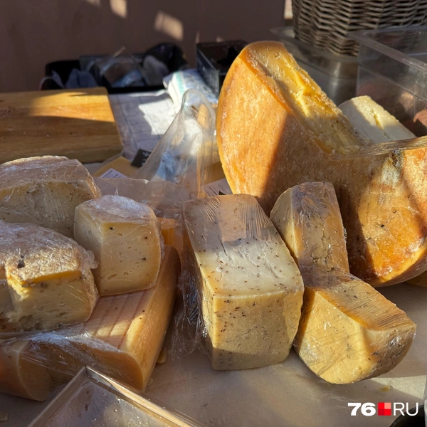 Есть варианты бюджетнее. Качотта и халуми по 600–300 рублей за 400–500 граммов | Источник: Анна Елкина / 76.RU