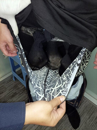 Мужчину с тремя животными в штанах задержали в аэропорту Бангкока: кого пытался перевезти контрабандист?