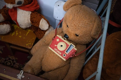 Нежеланные подарки волгоградцев на Новый год