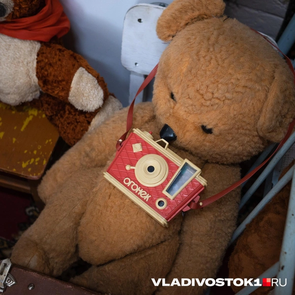 Источник: Елена Буйвол / VLADIVOSTOK1.RU