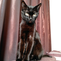 Аватарка Yanushka