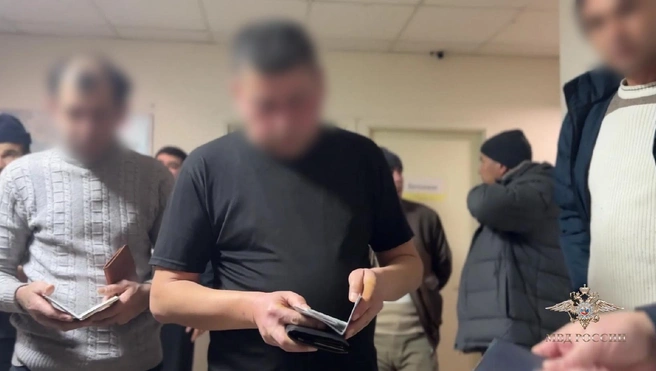 В Петербурге накрыли «резиновый» хостел, принявший более 1,7 тысячи иностранцев | Источник: официальный представитель МВД России Ирина Волк