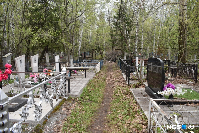 Кстати, действующее Краснообское кладбище граничит со старым Чемским. Смотрите, какой контраст | Источник: Рихарда Лем / NGS.RU