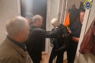 Житель Дедовичей обвиняется в смертельном избиении