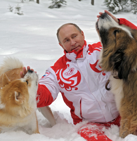 Владимир Путин с собаками Юмэ и Баффи на прогулке в Московской области