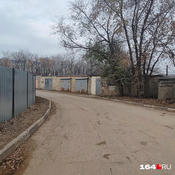 Источник: Сергей Гендин / 164.RU