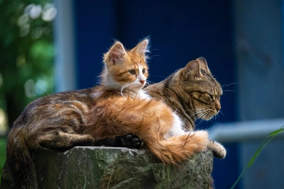 Холодная ночь и ветер в Приморье 8 апреля