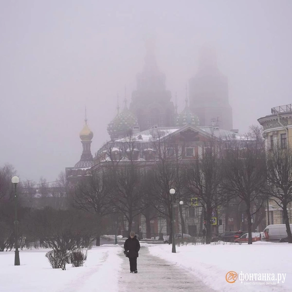 Источник:  Павел Даиси / «Фонтанка.ру