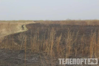 В Приамурье повсеместно отменили особый противопожарный режим