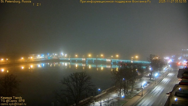 В Петербурге холодно и плохо видно. Но очень красиво | Источник: кадр супервидовой веб-камеры