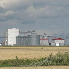 Кузбасс наращивает экспорт сельхозпродукции | 142.ru