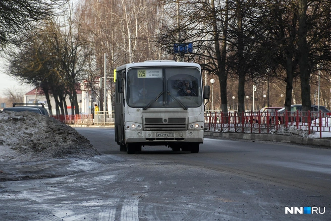 Автобус № 225 ходит до улицы Родионова | Источник: Наталья Бурухина / NN.RU