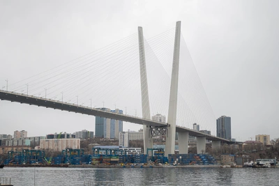 Директор центра предпринимательства Владивостока уходит с поста