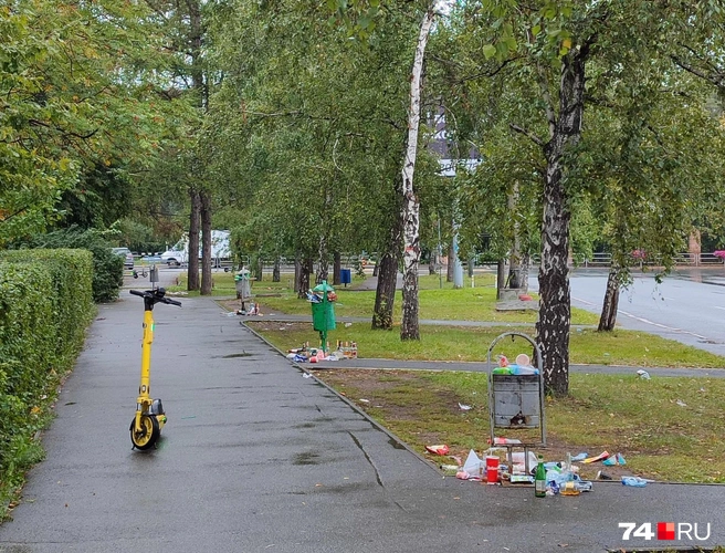 Урны на улице Энтузиастов явно не рассчитаны на такое количество мусора | Источник: читатель 74.RU
