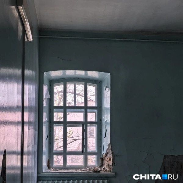 Источник: Дарья Кливенкова / CHITA.RU