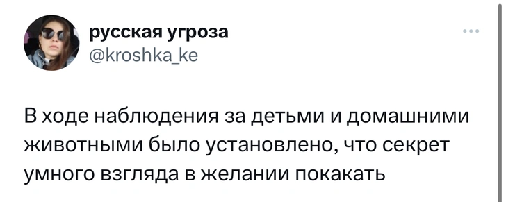 Шутки четверга и «носки-одиночники»