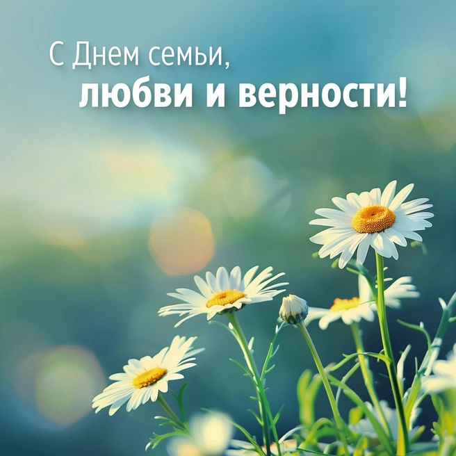 Источник: Юрий Скулыбердин / Городские медиа