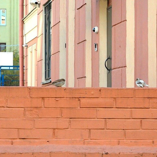 Источник: Павел Глазков / «Каждой твари по паре»