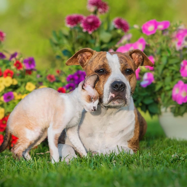 Источник: Shutterstock/Fotodom.ru