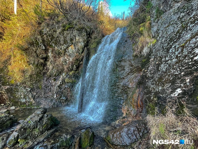 Источник: Лера Городецкая / NGS42.RU 