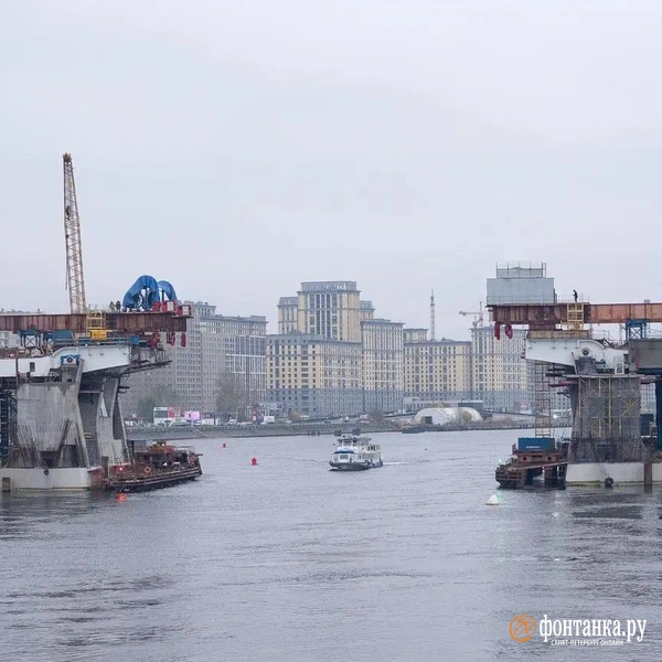 Источник: Сергей Николаев / «Фонтанка.ру»