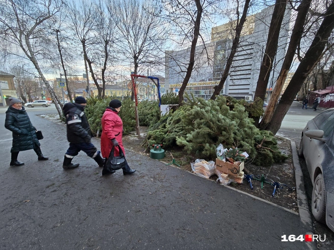 Бабушка хотела купить подставку под елку | Источник: Семен Коротов-Майбах / 164.RU