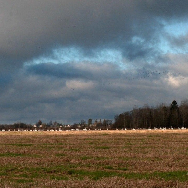Источник: Павел Глазков / «Каждой твари по паре» 